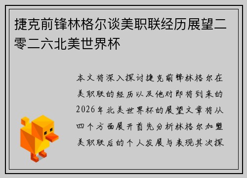 捷克前锋林格尔谈美职联经历展望二零二六北美世界杯